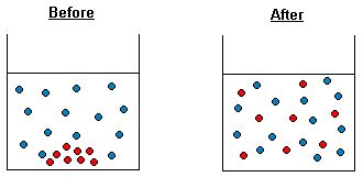 Diffusion Gcse Biology Revision Centre