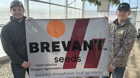 Chapters Turn The Bag Blue And Gold With Brevant Seeds National FFA