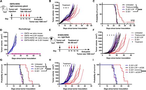 Targeting Cancer Glycosylation Repolarizes Tumor Associated Macrophages