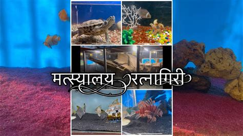 Aquarium In Ratnagiri Youtube