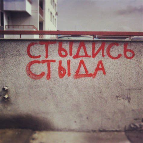 Pin on /цитаты, надписи, шутки/