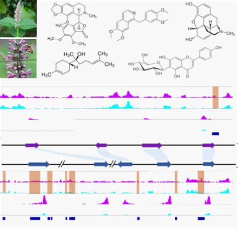 Guo Lab News