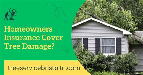 Does Homeowners Insurance Cover Tree Damage