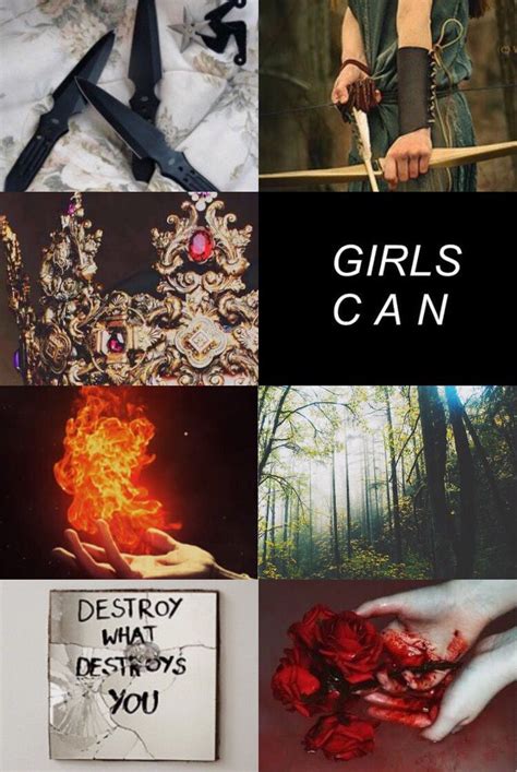 Sarah J Maas Leading Ladies Aesthetics Left Aelin Galathynius Tog