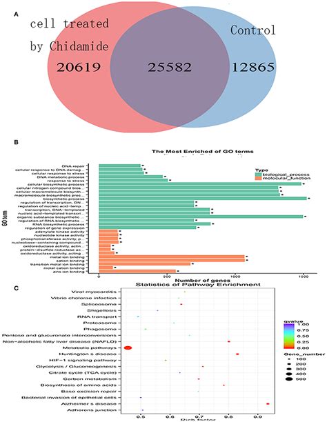 Frontiers Chidamide Enhances The Cytotoxicity Of Cytarabine And