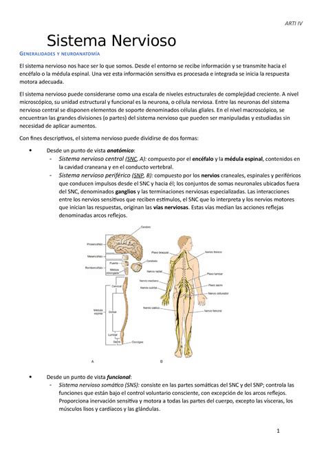 1 SNC SNP Caras Resumen Primera Clase ARTI IV ARTI IV Sistema