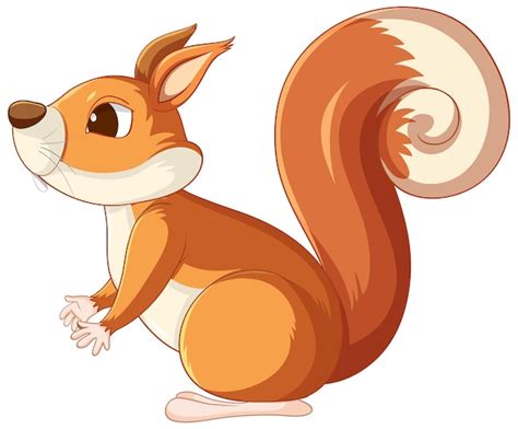 Squirrel Cartoon Illustration Images - Free Download on Freepik