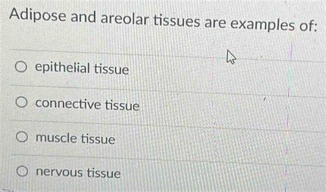 Solved Adipose And Areolar Tissues Are Examples Of Epithelial Tissue