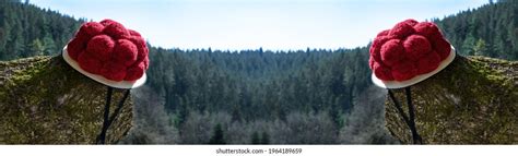 52 Black Forest Bollenhut Images Stock Photos And Vectors Shutterstock