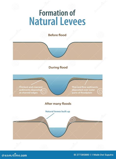 Formation of Natural Levees Infographic Stock Vector - Illustration of ...