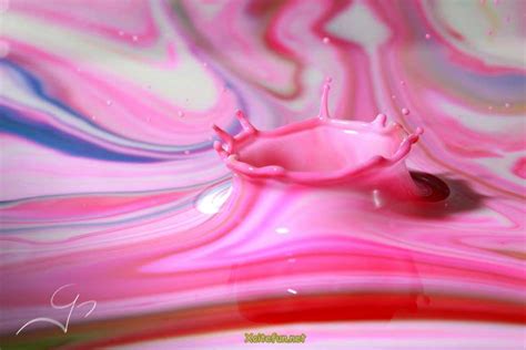 Incredible Milk Drop Photography - XciteFun.net