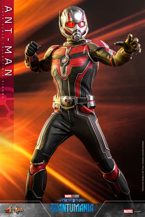 Hot Toys MMS 690 Ant Man And The Wasp Quantumania Hot Toys Complete Checklist