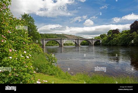 River tay scotland bridge trees hi-res stock photography and images - Alamy