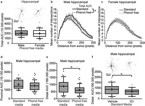 In Vivo And In Vitro Sex Differences In The Dendritic Morphology Of