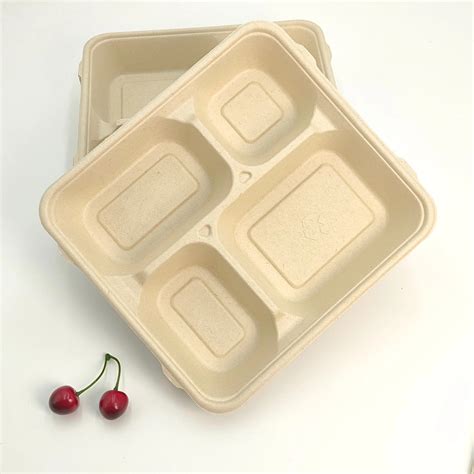 Compartments Box Biodegradable Sugarcane Bagasse Fast Food