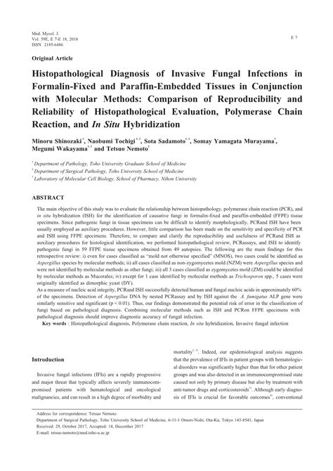 Histopathological Diagnosis Of Invasive Fungal Infections Docslib