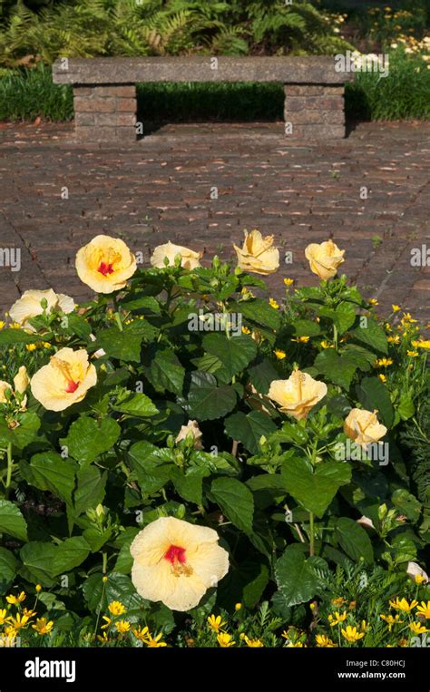 Alabama Theodore Bellingrath Gardens And Home Brick Patio Stock