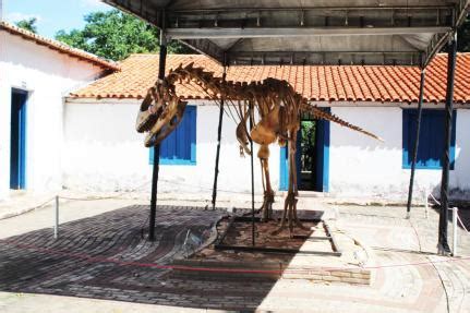 Museu De Hist Ria Natural De Mato Grosso Oferece Atividades Gratuitas