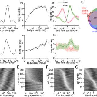 Mixed striatal encoding of single-limb and whole-body motion. 487 (A ... 