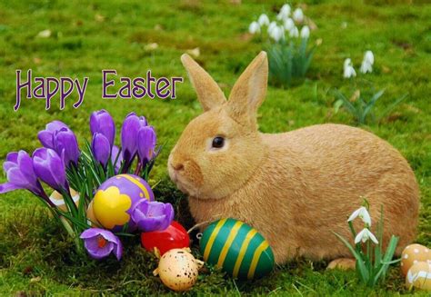 Download Celebrating The Joy Of Easter