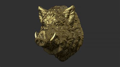 Artstation Wild Boar Head Resources