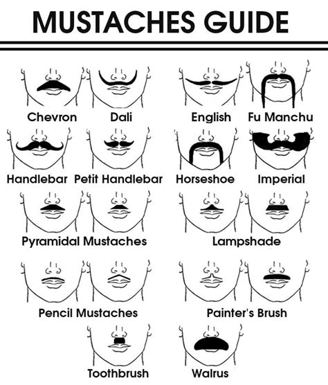 Printable of different mustache styles | Mustache styles, Moustache ...