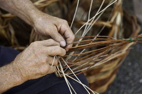 willow weaving – Community Learning Bristol