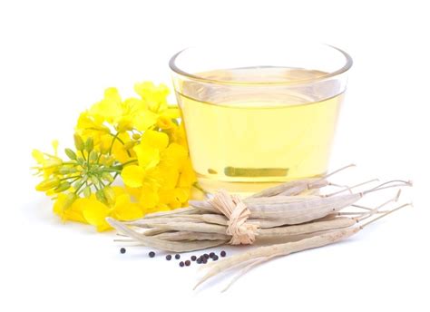 Meadowfoam Seed Oil Us Fda Kosher Halal Certified Iso 22000