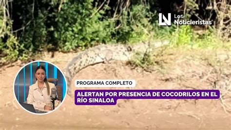 Alertan Por Presencia De Cocodrilos En El R O Sinaloa Youtube