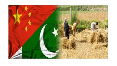 China Pakistan To Boost Agriculture Cooperation Under Cpec China