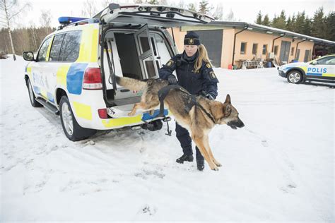 Minibladet Main Hunden Zimba R B Sta Kollegan