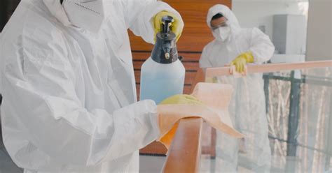 Eco Biological Decontamination Green Incorporated