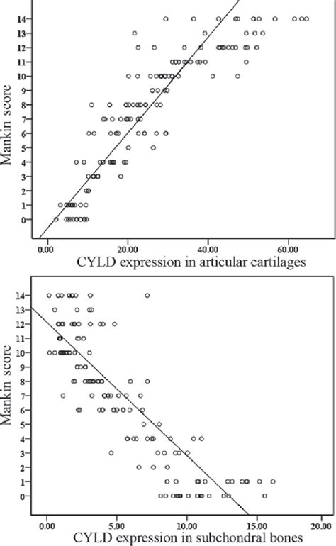 Figure From Expression Of The Deubiquitinase Cylindromatosis In