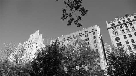 Nyc 5th Avenue Apartments With Trees Bandw Stock Image Image Of Side