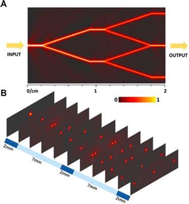 Frontiers Beam Splitters Fabricated By Nonlinear Focusing Of