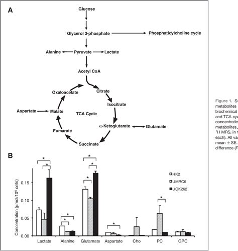 Figure 1 From Hyperpolarized 13 C Pyruvate Magnetic Resonance Reveals