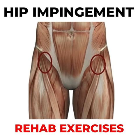 James Lu Rmt To On Instagram Exercises For Hip Impingement