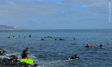 Bahia De Todos Santos Formally Dedicated As Sixth World Surfing Reserve
