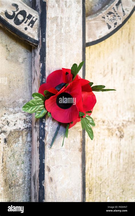 Remembrance day poppies Stock Photo - Alamy