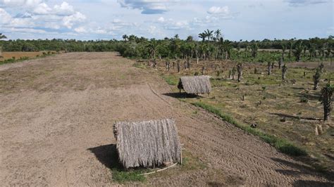 Coyuntura Ambiental La Investigaci N Que Revela El Grave Impacto De