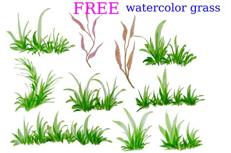 Free Watercolor Grass Green Grass Graphic By Cyudeshbuhu Creative