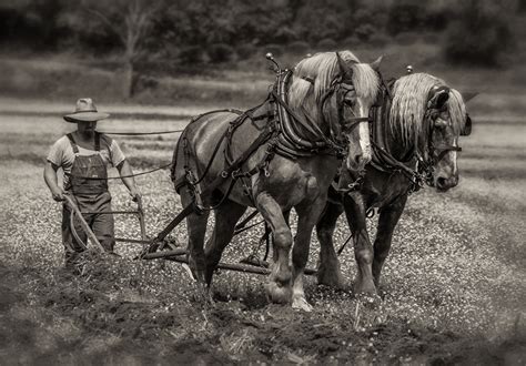 Two Horse Plow – Dan Routh Photography