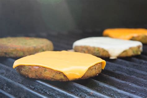 Go Veggie Vegan Cheese Singles Review Go Dairy Free