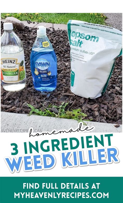 3 Ingredient Homemade Weed Killer Artofit