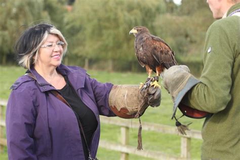 Thirsk Birds Of Prey Centre