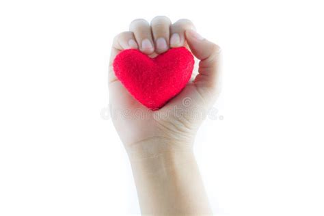 Red Heart Hold On Hand Stock Photo Image Of Petal Beatiful 37103022