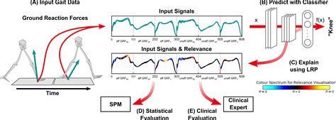 On The Explanation Of Machine Learning Predictions In Clinical Gait