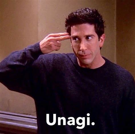 Unagi Friends