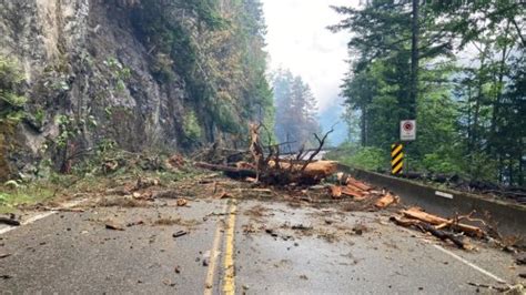 Wildfire Continues To Topple Trees Onto Highway Near Port Alberni