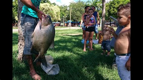 Domingo Foi Dia De Pescaria No Parque Ipanema Em Ipatinga Youtube